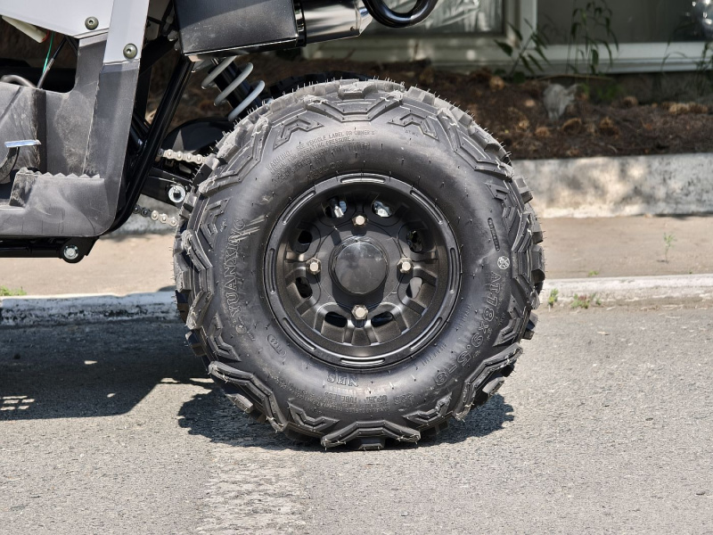 Квадроцикл Rmoto Lion 130 RR