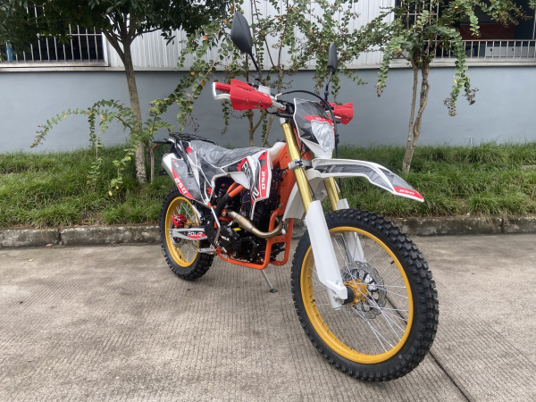 Мотоцикл ROLIZ SPORT-007 YX170FMN 300сс с ПТС