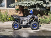 Квадроцикл Rmoto Lion 125 RR