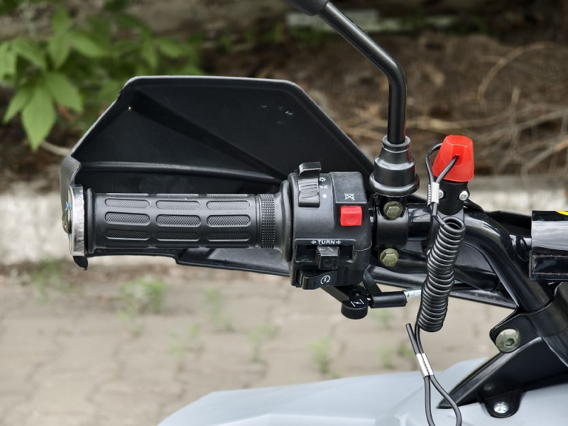 Квадроцикл Rmoto Lion 125 RR