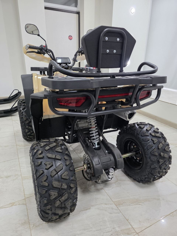Квадроцикл Rmoto Lion 200 X PRO