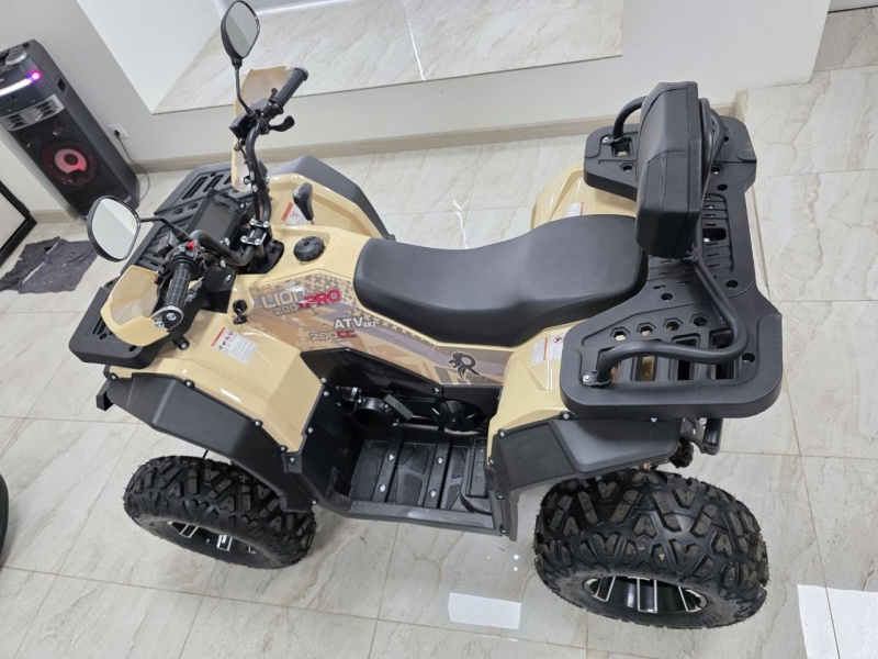 Квадроцикл Rmoto Lion 200 X PRO
