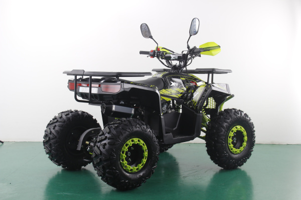 Квадроцикл Racer FREELANDER PRO125 XTS