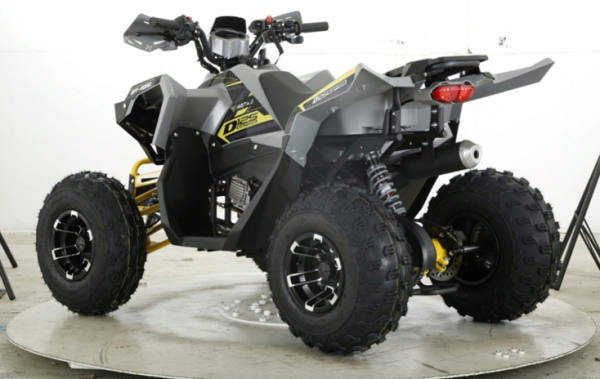 Квадроцикл бензиновый MOTAX  RAPTOR D125