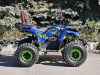 Квадроцикл Rmoto Lion 125 A