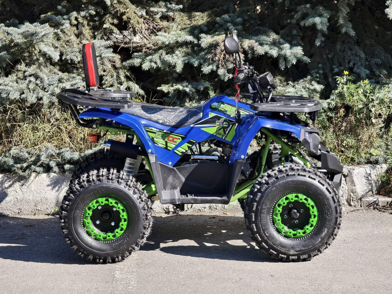 Квадроцикл Rmoto Lion 125 A