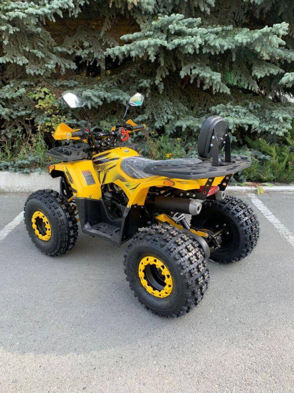 Квадроцикл Rmoto Lion 125 AR