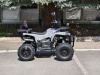 Квадроцикл Rmoto Lion 130 RR