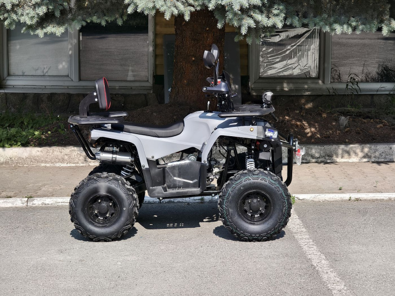 Квадроцикл Rmoto Lion 130 RR