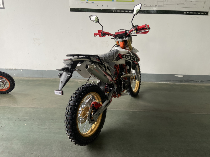 Мотоцикл ROLIZ SPORT-007 ZS172FMM-3A 250сс с ПТС