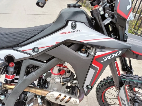 Мотоцикл Regulmoto CR-Z 300