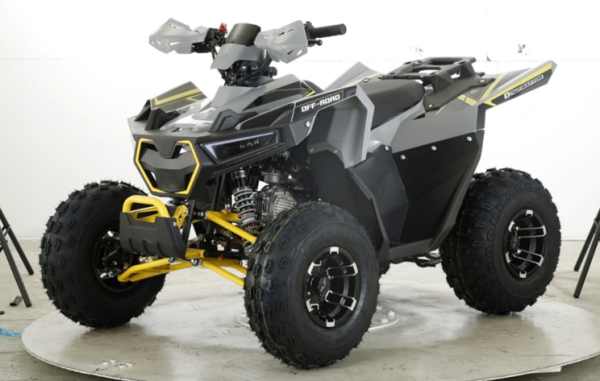 Квадроцикл бензиновый MOTAX  RAPTOR D125