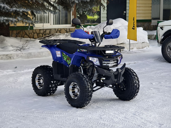 Квадроцикл Rmoto Lion 125 A PRO