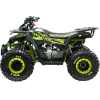 Квадроцикл Motoland WILD 125 Х 
