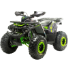 Квадроцикл Motoland WILD 125 Х 