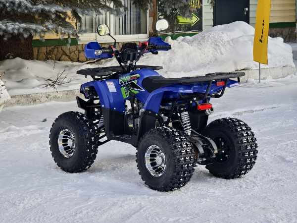 Квадроцикл Rmoto Lion 125 A PRO