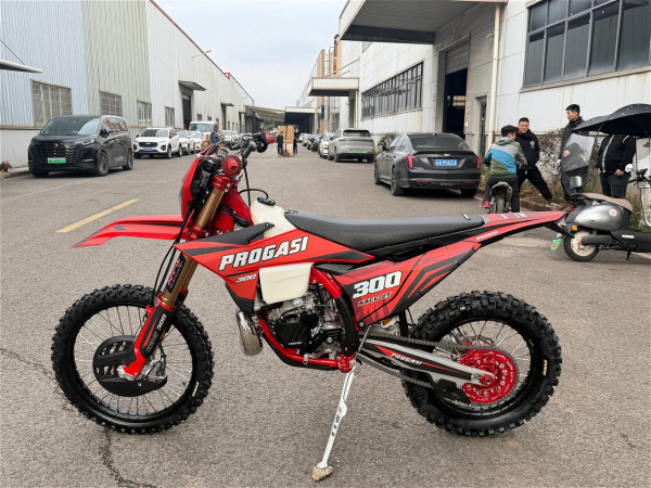 Мотоцикл Progasi Race 300 2T