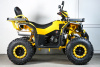 Квадроцикл SPRMOTORS ATV Extreme- 250DQ