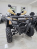 Квадроцикл Rmoto Lion 200 X PRO