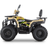 Квадроцикл BRZ Dune 200 