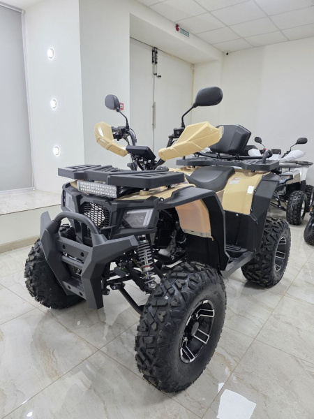 Квадроцикл Rmoto Lion 200 X PRO