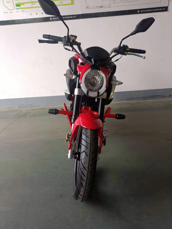 Мотоцикл ROLIZ SPIDER YS166FMM 250cc с ПТС