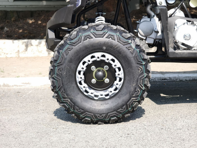 Квадроцикл Rmoto Lion 125 AА