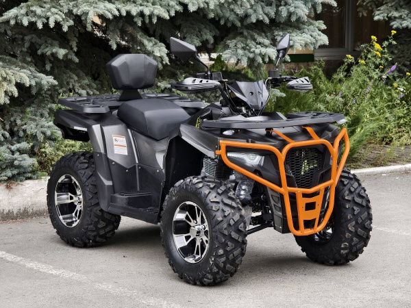 Квадроцикл Rmoto Lion King 200 