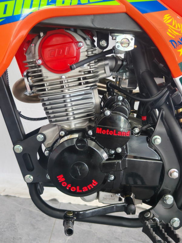 Питбайк Motoland CRF150 19/16