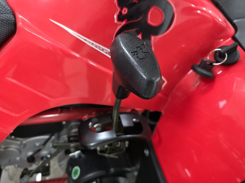 Квадроцикл Rmoto Lion 200 LITE