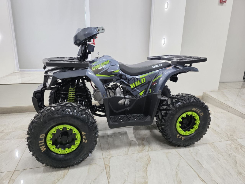 Квадроцикл Motoland WILD 125 