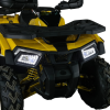 Квадроцикл Motoland VOX200 WILD TRACK X WINCH (баланс. вал)