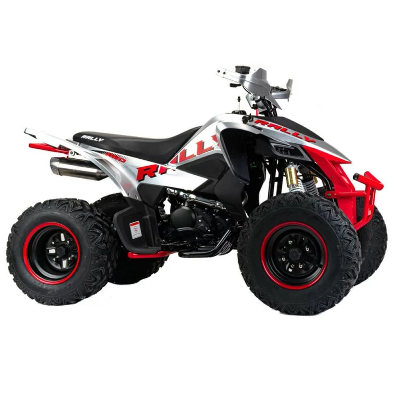 Квадроцикл Motoland 250 RALLY