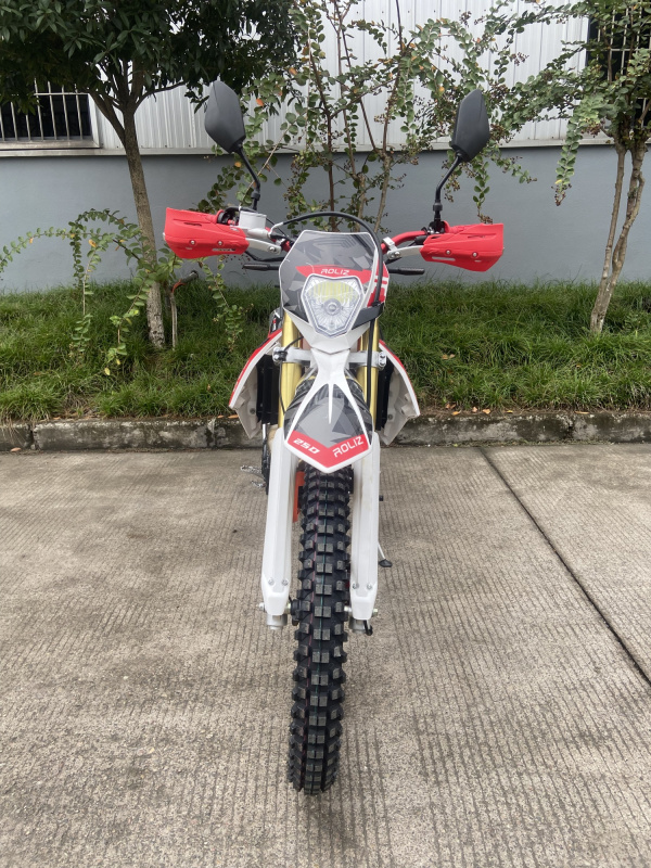 Мотоцикл ROLIZ SPORT-007 YX170FMN 300сс с ПТС