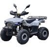 Квадроцикл Rmoto Lion 125 RR