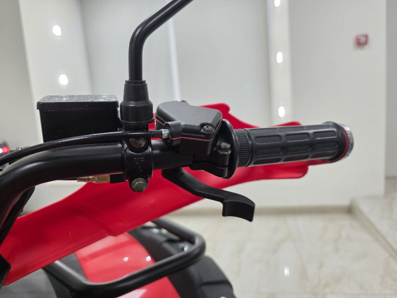 Квадроцикл Rmoto Lion 200 LITE