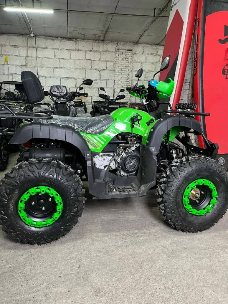 Квадроцикл Rmoto Lion 200 LITE