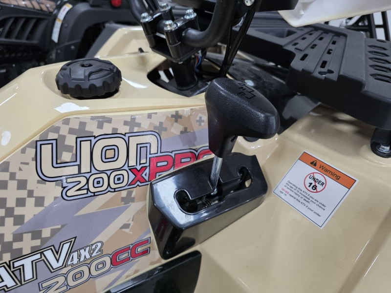Квадроцикл Rmoto Lion 200 X PRO