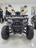 Квадроцикл Rmoto Lion 200 X PRO