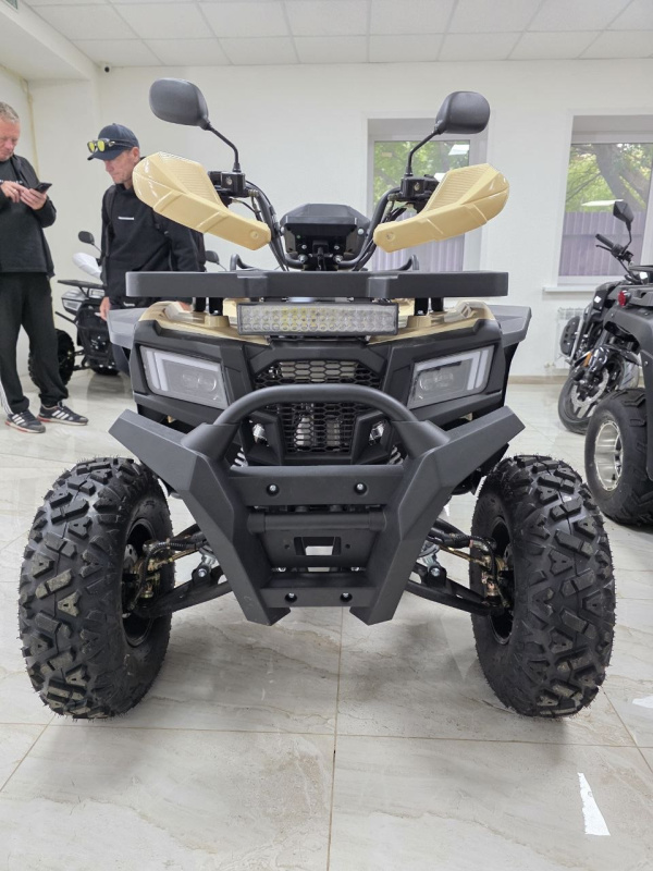Квадроцикл Rmoto Lion 200 X PRO