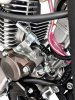 Мотоцикл Regulmoto Holeshot PR350 с ПТС