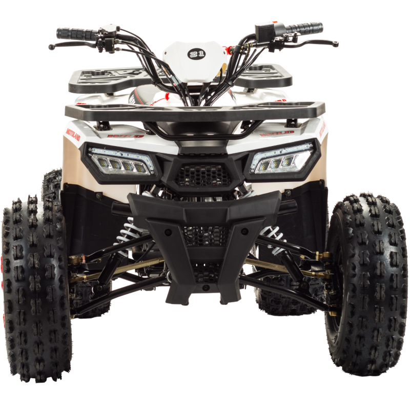 Квадроцикл Motoland WILD 125 
