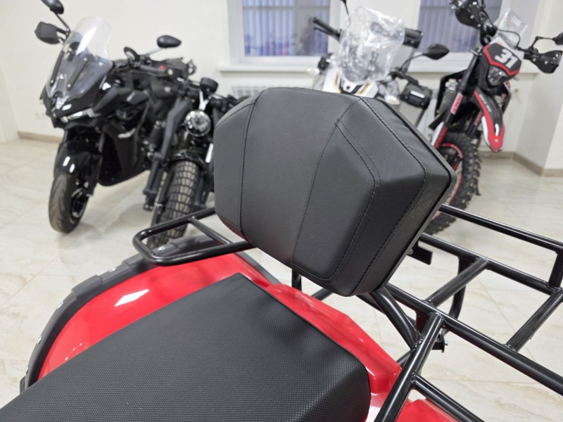 Квадроцикл Rmoto Lion 200 LITE
