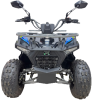 Квадроцикл GLADIATOR F125