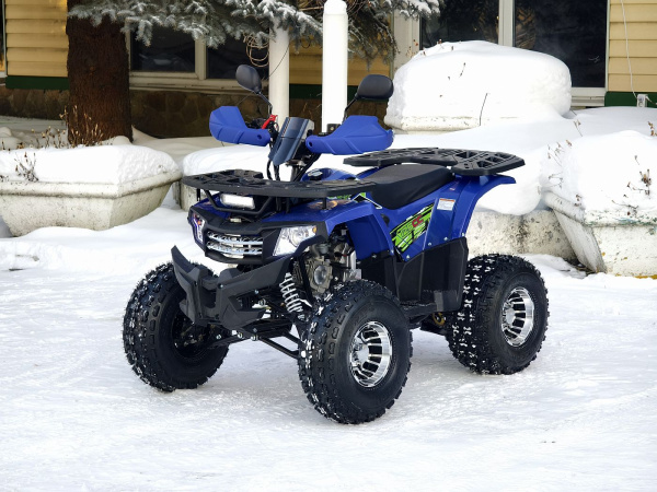 Квадроцикл Rmoto Lion 125 A PRO