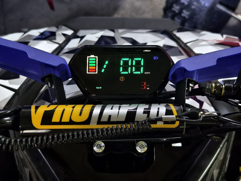 Квадроцикл Rmoto Lion 125 RR