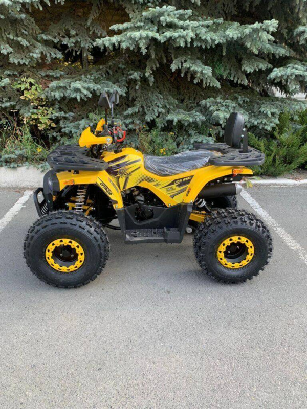 Квадроцикл Rmoto Lion 125 AR