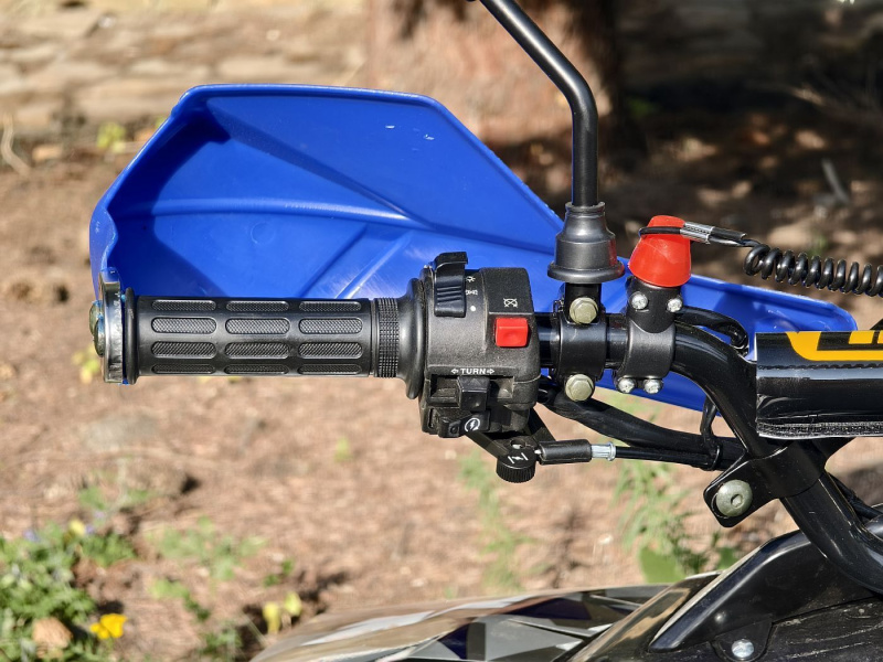 Квадроцикл Rmoto Lion 125 RR