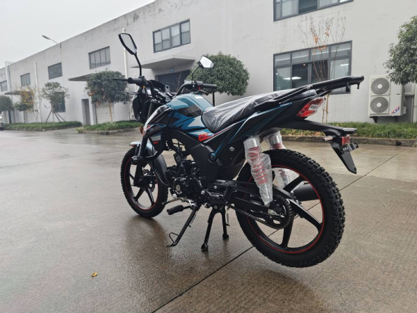 Мотоцикл ROLIZ Альфа VERTIGO LS