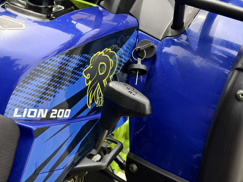 Квадроцикл Rmoto Lion 200 X PRO